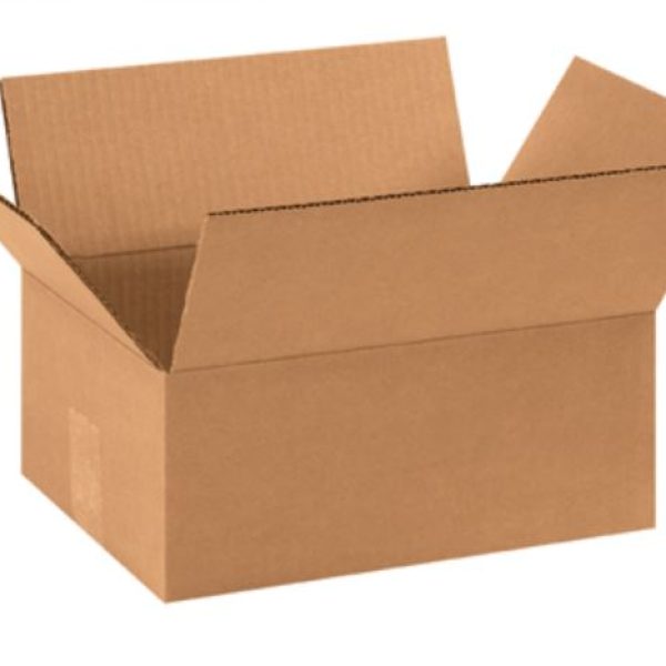 11" x 12" x 4 mil Layflat Poly Bags