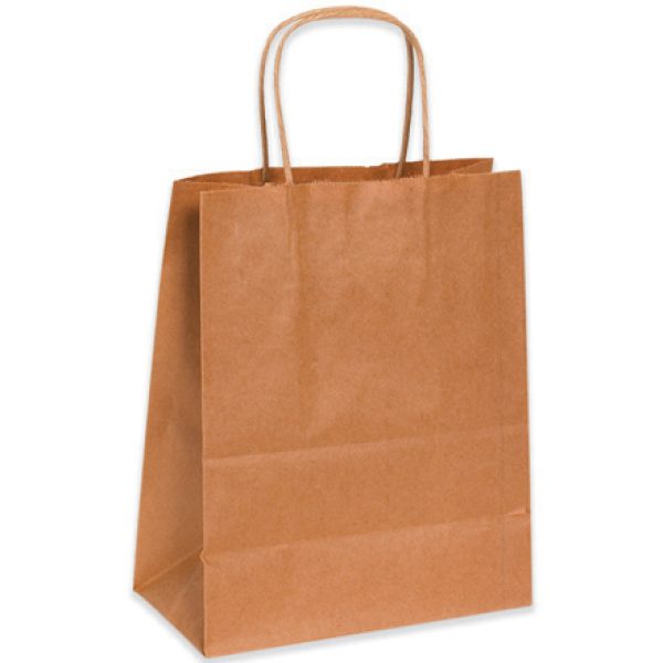 8" x 4 1/2" x 10 1/4" Kraft Paper Shopping Bags