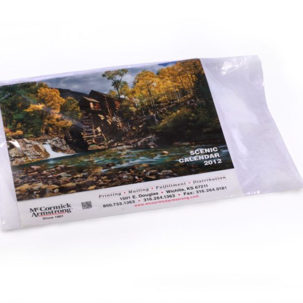 10" x 10" x 1 mil Layflat Poly Bags