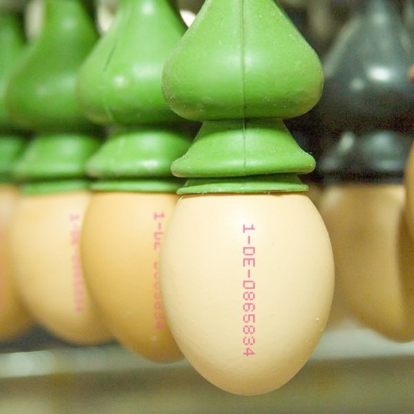 Leibinger CIJ JET EP Series showing egg printing