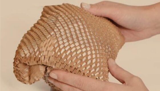 Ranpak Geami Recyclable Cushion Packaging